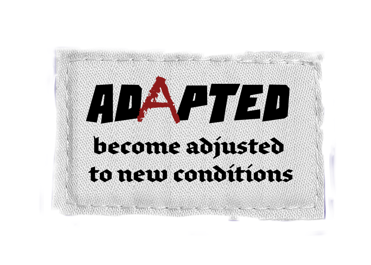 Adapted Clothing